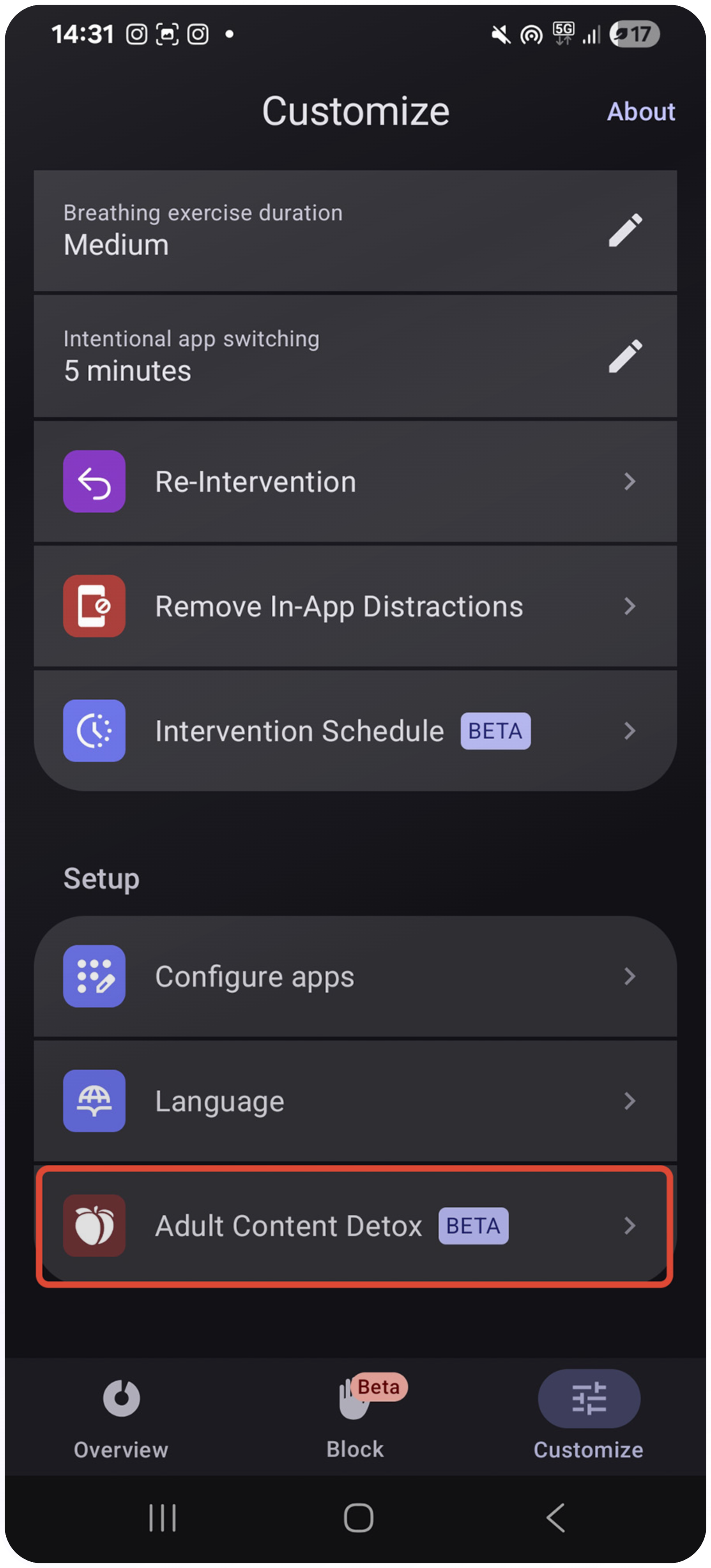 Customize > Adult Cotent Detox